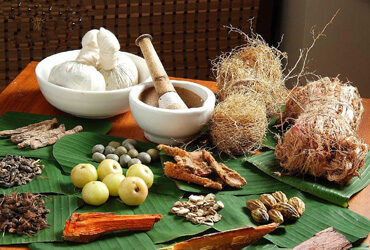 Ayurvedic Medical Courses